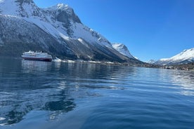 Privérondvaart Vissen en bezienswaardigheden Hjørundfjord