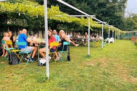  Visita a la bodega del Valle de Ossola con degustaciones