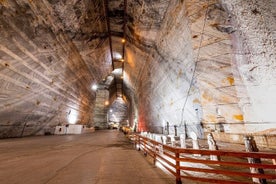 Visite de la mine de sel de Bucarest avec billet d'entrée