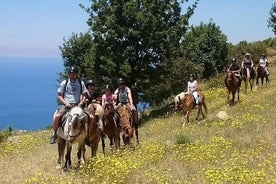 アラニヤでの3時間の乗馬