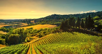 Private Gourmet Wine Tour in Tuscany, Italy