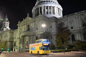 Visita turística nocturna de Londres