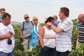 Sherry Erfahrung im Weinberg