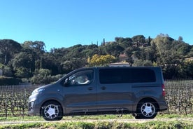 Tour vinícola en grupos pequeños por los viñedos del golfo de St-Tropez