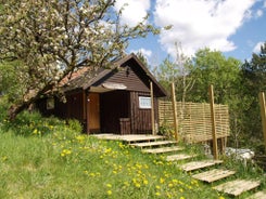 Kveldsro cabin in nice surroundings