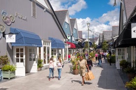 더블린에서 킬데어 마을(Kildare Village)까지 개인 투어