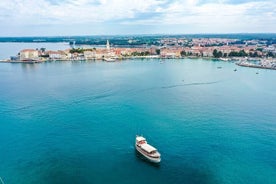 Delfinsafari rundt Poreč Riviera med båttur 