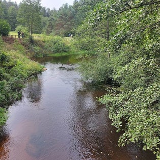 Ūlos akis Mančiagirė Lithuania.