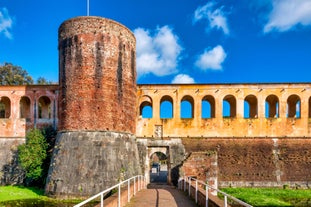 Aerial panoramic cityscape of Rome, Italy, Europe. Roma is the capital of Italy. Cityscape of Rome in summer. Rome roofs view with ancient architecture in Italy. 