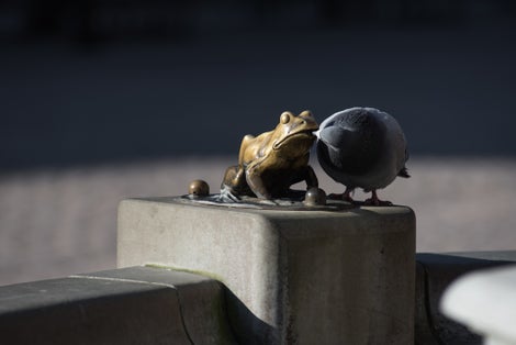 Frog at Raftsman Fountain (Pomnik flisaka) in Torun. Poland