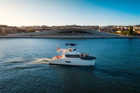 Tour privé en catamaran le long du Tage 2H