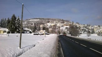 Studio d'hôtes à 10 km de Gérardmer (Le Tholy)