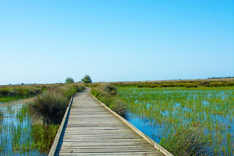 Photo of Kus cenneti in the Kizilirmak delta Samsun, Turkey.