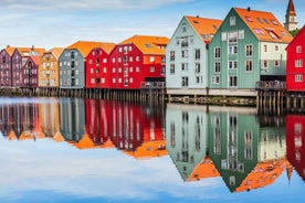 Best of Trondheim: Private Walking Tour with a Local