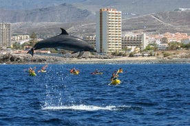 Hval- og delfinsafari EcoAdventure på Tenerife