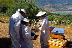 Bee Excursiones en la Sierra de Cádiz