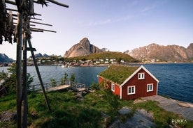 5 hápunktar Lofoten frá Svolvær