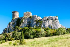 Visite privée d'une journée complète des vins de Châteauneuf du Pape au départ d'Avignon