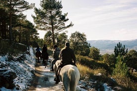 Equitação Parque Natural de Madri (longa viagem)