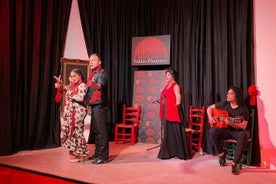 Espectáculo Flamenco en Pleno Centro de Granada