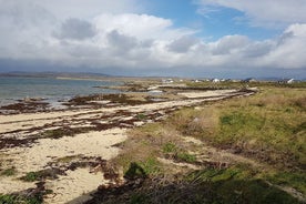 Fra Galway: Guidet tur i Connemara med 3 timers stop i Kylemore Abbey