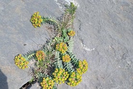 Natural History Guided Tour Cave & Nature of Petralona Halkidiki 