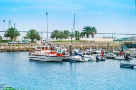 Figueira da Foz - city in Portugal