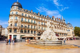 Best of Montpellier: Private Walking Tour with a Local