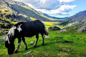 Heils dags skoðunarævintýri í Norður-Wales frá Manchester