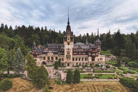 Peles Castle, Bran Castle & Rasnov Fort. private tour from Brasov