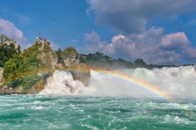 Tour di gruppo mattutino alle cascate del Reno