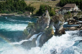 Visite des chutes du Rhin et de la ville de Zurich en bus à toit ouvert