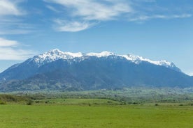 From Bucharest: Bear Sanctuary and 7 Ladders Canyon Day Trip