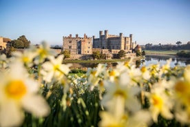 Castelo de Leeds e Canterbury - excursão de um dia saindo de Brighton