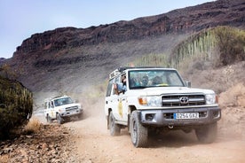 Fuerteventura 4x4 Tour und Katamaranfahrt zur Insel Lobos mit Mittagessen