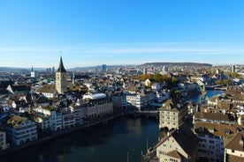 Privat overføring fra Basel til Zürich med 3 timers sightseeingstopp