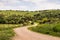 Photo of Green fields in Parque Natural Los Alcornocales in Cadiz province, Andalusia, Spain. Natural environment, sandy pathway in the center leading into the scene. Grass, trees. Beautiful natural scenery.