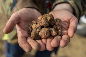 Clase de cocina y caza de trufas