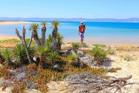 Tur Ria Formosa fergebåt inkludert byen Faro-olhao og øya