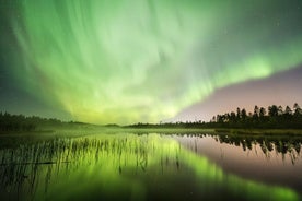 Passeio de trenó pela aurora boreal