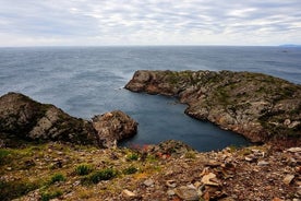 Gita giornaliera in Costa Brava e a Girona da Barcellona, inclusa una facile escursione: per piccoli gruppi