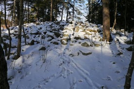 Bronze Age Landscape Remains 3h Tour från Stockholm (Privat)