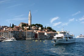 Full Day Cruise from Pula to Rovinj Lim Fjord and Red Island