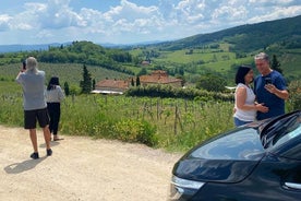 Siena and San Gimignano Tour by van from Lucca or Pisa