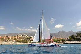 Excursion de 3 heures à la découverte des baleines à Tenerife à bord d'un catamaran exclusif avec restauration gratuite