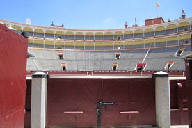 Madrid: Las Ventas Bullring VIP Private Guided Tour