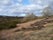 Hartlebury Common