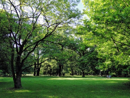 Park Żeromskiego w Szczecinie,Poland.