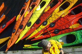 Rental Single Sea Kayak at Kalvebod Bolge