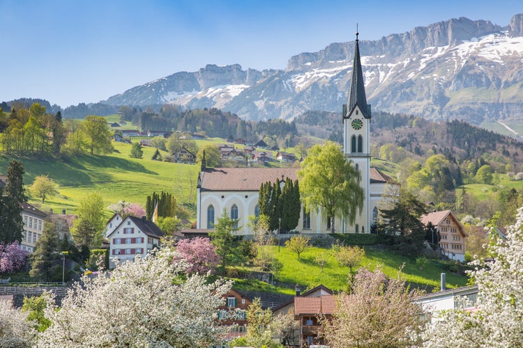 Photo of The pretty Swiss Alpine village of Buchs.